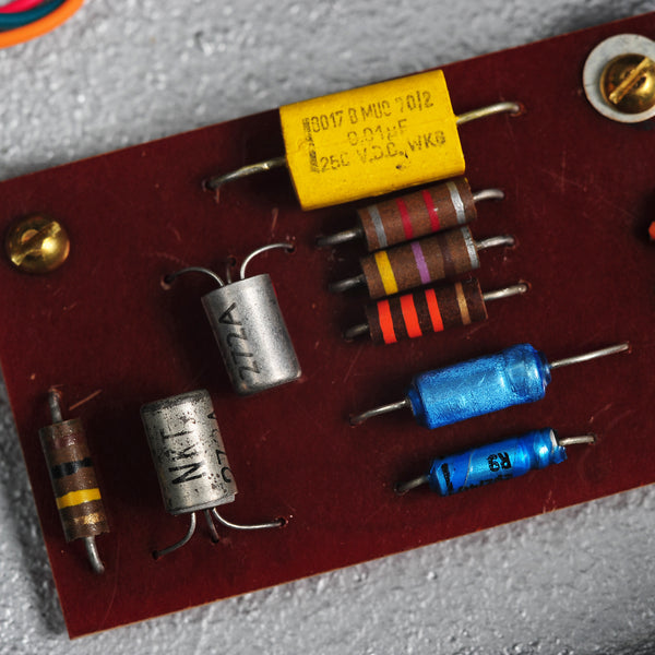 DSC_8407_grande.jpg?v=1573563204