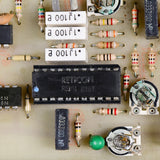 M118 Analog Delay【VINTAGE】