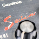 FS-6 Sustainer 【VINTAGE】